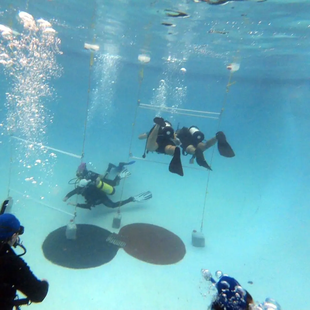 buceo-villa-pueyrredon-club-17deagosto